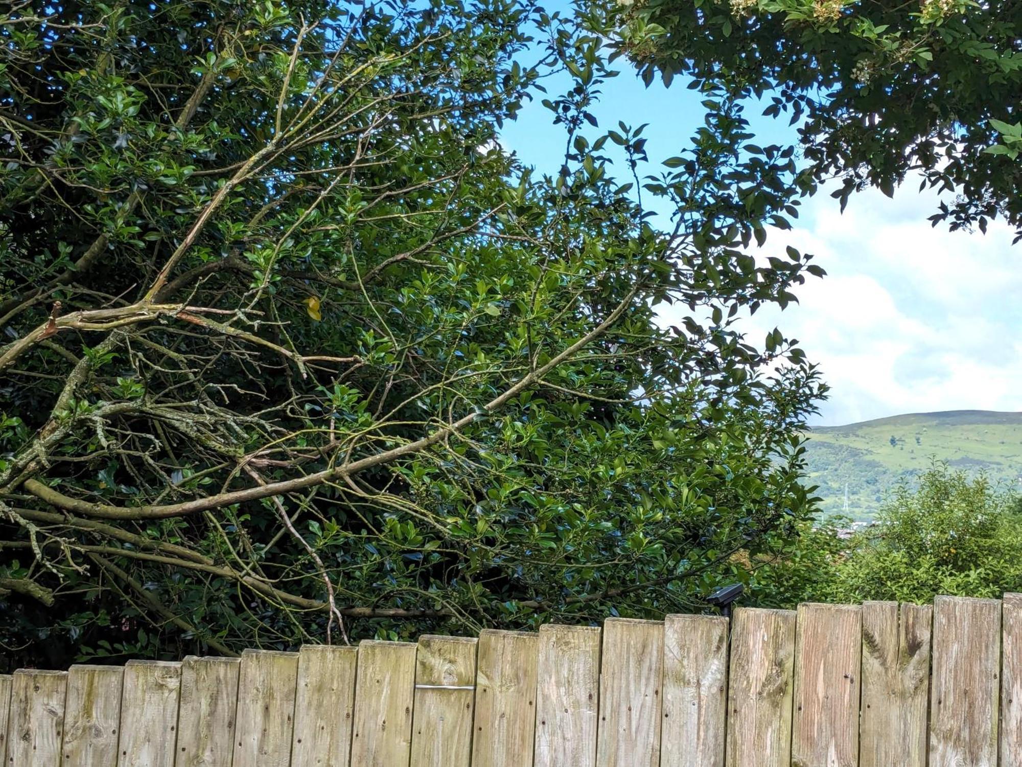 Вилла Heart Of Belfast With Private Garden Экстерьер фото